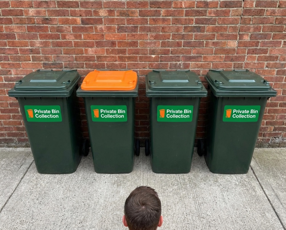 Neatly arranged bins after private collection in Chichester