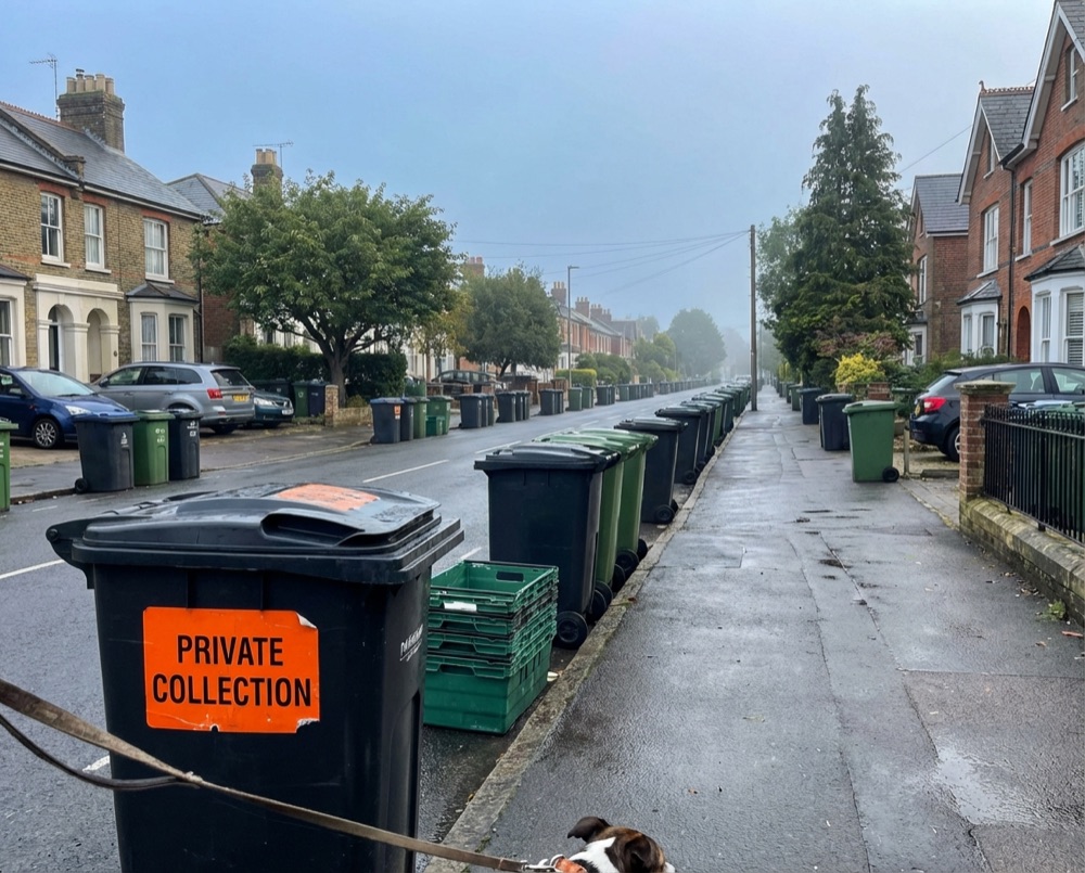 Residential street with bins in Chichester awaiting collection
